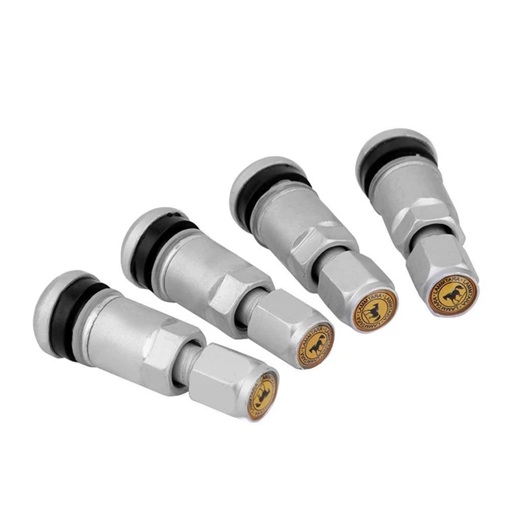 Válvulas de Neumático (pack 4)